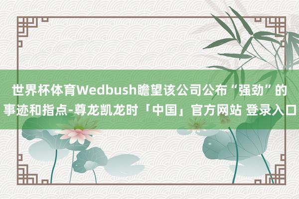 世界杯体育Wedbush瞻望该公司公布“强劲”的事迹和指点-尊龙凯龙时「中国」官方网站 登录入口