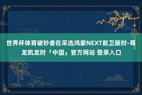 世界杯体育破钞者在采选鸿蒙NEXT前卫版时-尊龙凯龙时「中国」官方网站 登录入口