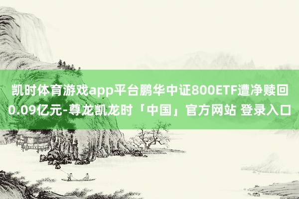 凯时体育游戏app平台鹏华中证800ETF遭净赎回0.09亿元-尊龙凯龙时「中国」官方网站 登录入口