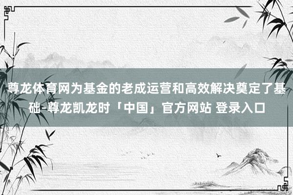 尊龙体育网为基金的老成运营和高效解决奠定了基础-尊龙凯龙时「中国」官方网站 登录入口