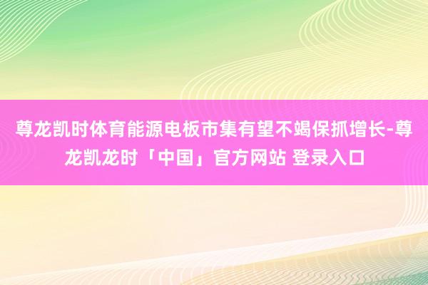 尊龙凯时体育能源电板市集有望不竭保抓增长-尊龙凯龙时「中国」官方网站 登录入口