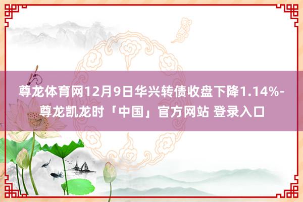尊龙体育网12月9日华兴转债收盘下降1.14%-尊龙凯龙时「中国」官方网站 登录入口